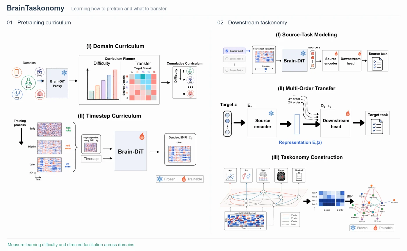 Animated BrainTaskonomy framework: domain and timestep curricula, source-task modeling, multi-order transfer, and budget-aware taskonomy construction.