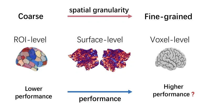 FlatClip paper Figure 1: ROI, surface, and voxel representations