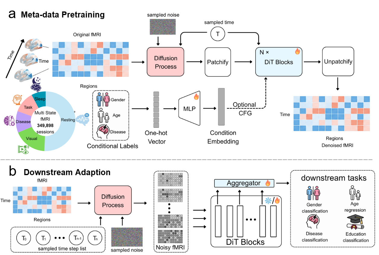Brain-DiT original research figure