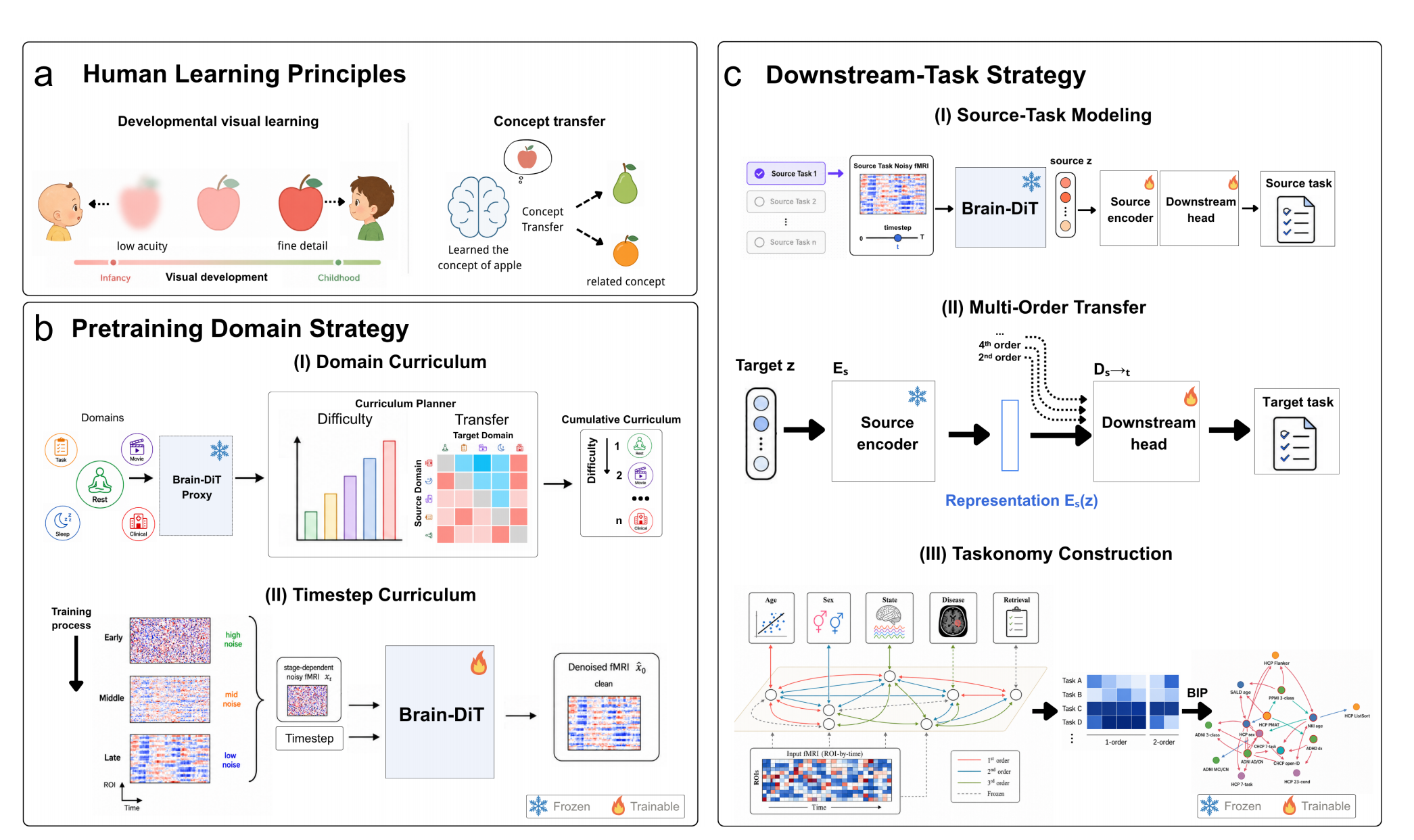 BrainTaskonomy — original research figure