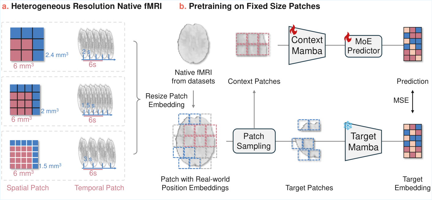 FlexiBrain original paper pipeline