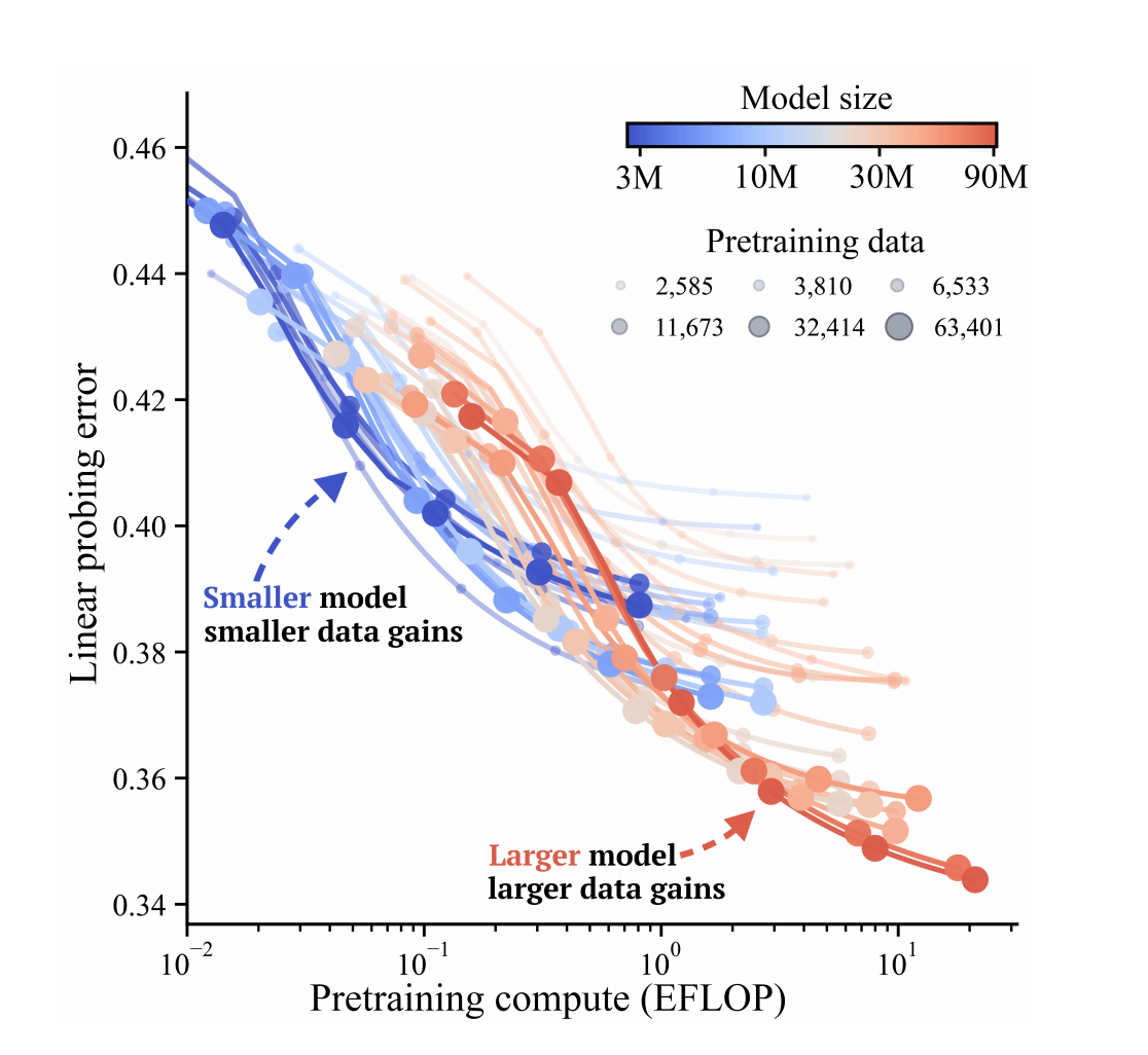 fMRI Scaling Study — original research figure